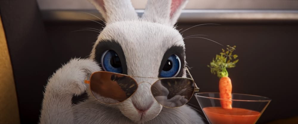 Gracie & Pedro: Pets to the Rescue