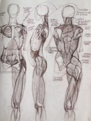 Anatomy sketches by Richard Williams